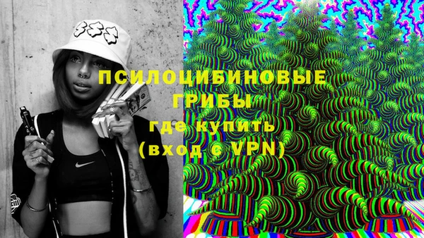 винт Белокуриха