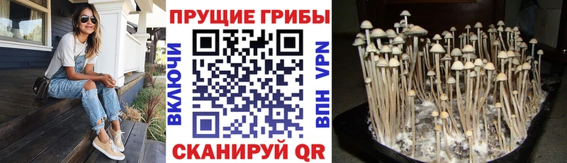 Псилоцибиновые грибы ЛСД  Котовск 